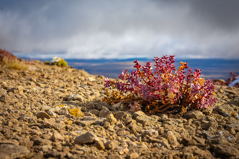 Paisaje - Imagen 2